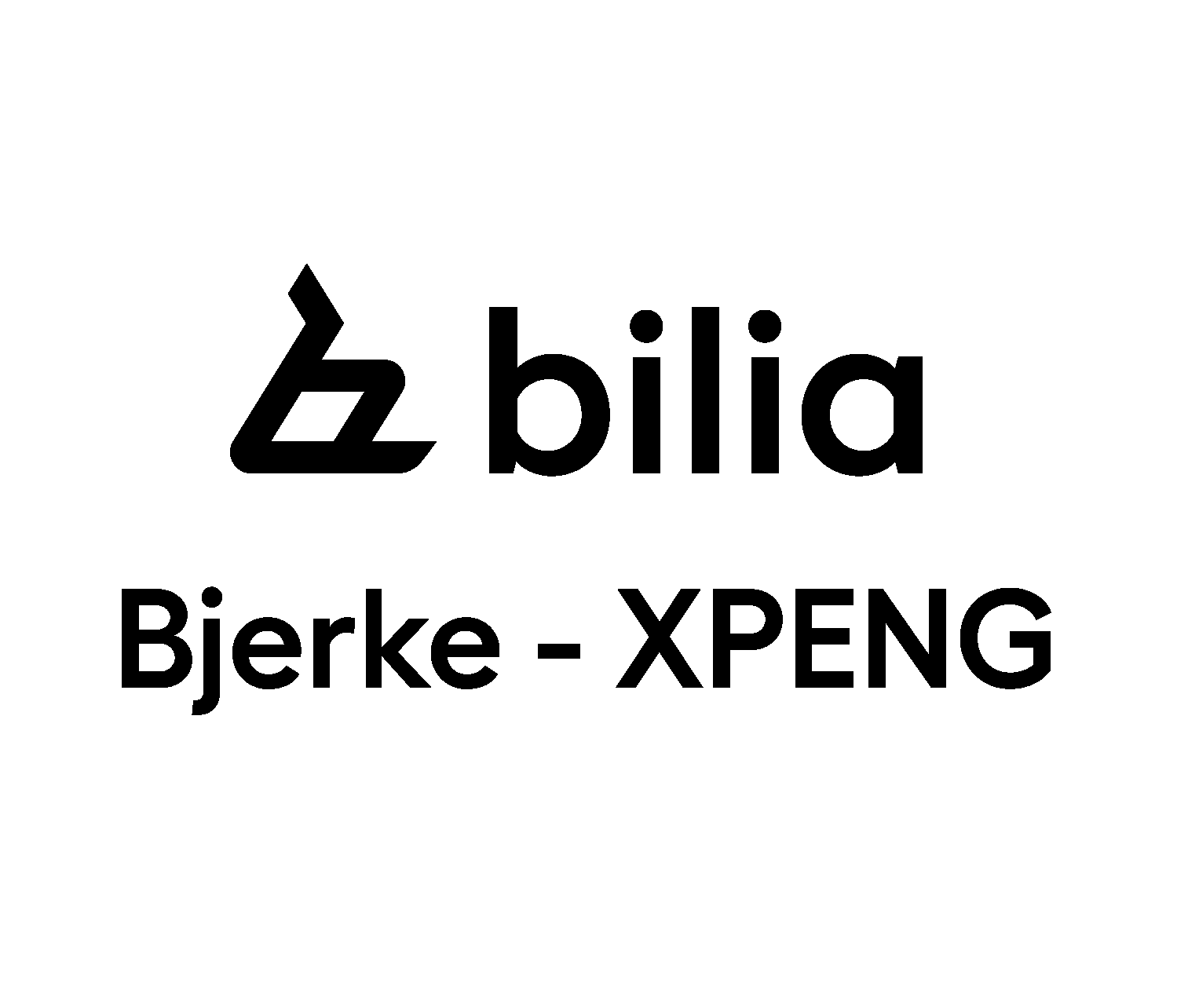 Bilia Bjerke - XPENG